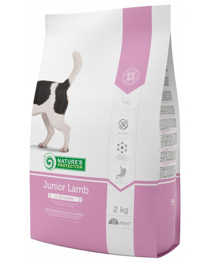 Dog junior with lamb 2 kg