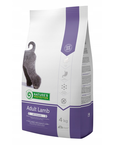 Dog adult with lamb 4 kg
