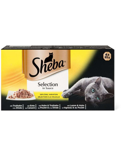 Selection in Sauce mix smaków w sosie 6 x 340 g