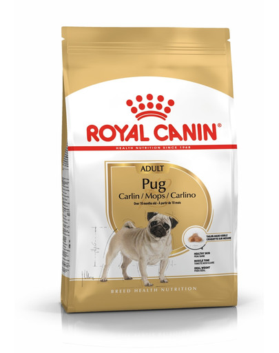 Pug adult 500 g