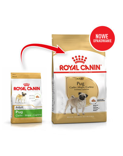 Pug adult 500 g