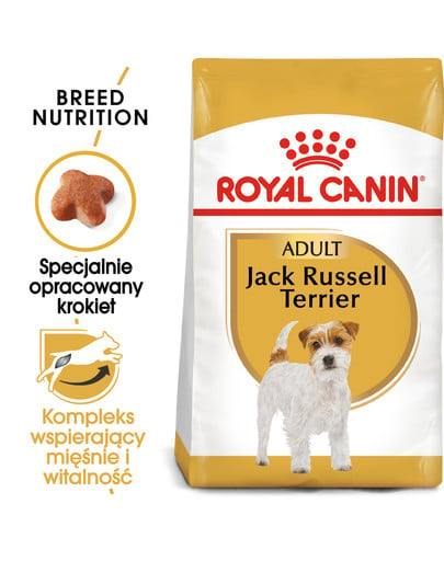 Jack russell terrier adult 7.5 kg