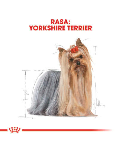 Yorkshire Terrier Adult 500 g karma sucha dla psów dorosłych rasy yorkshire terrier