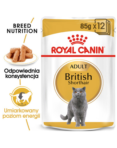 British Shorthair 85g