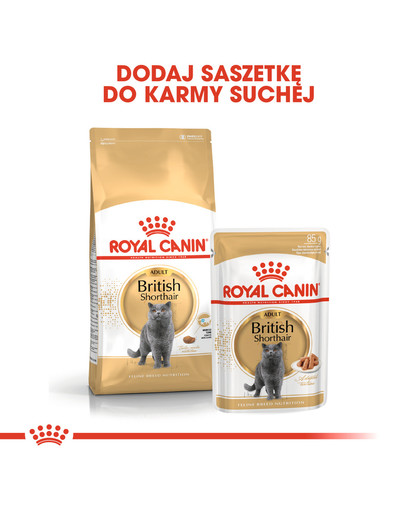 British Shorthair 85 g saszetka 6x85 g