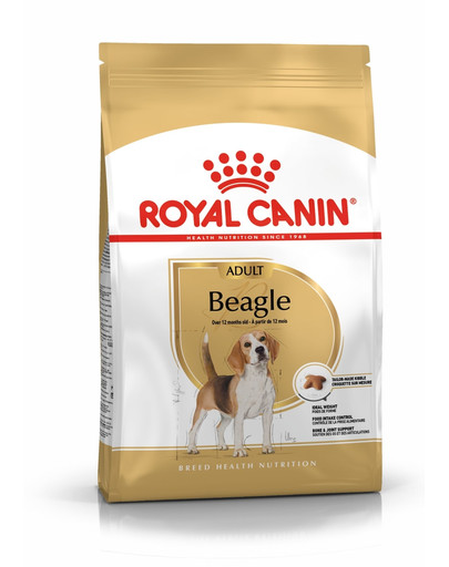 Beagle adult 12 kg