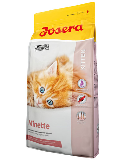 Cat Minette 10 kg dla kociąt