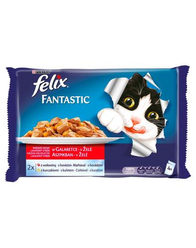 Fantastic wybór mięs 4x100g: wołowina, kurczak