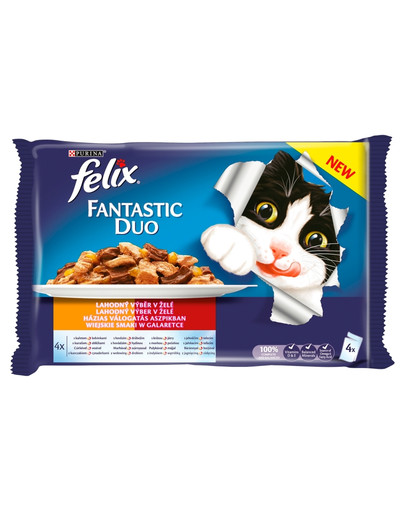 Fantastic Duo Wiejskie smakie 4x100 g