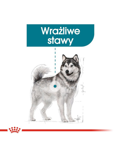 Maxi Joint Care karma sucha dla psów dorosłych, ras dużych, wspomagająca pracę stawów 10 kg