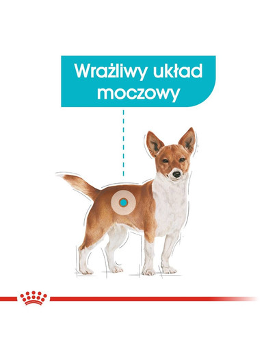 Mini Urinary Care karma sucha dla psów dorosłych, ras małych, ochrona dolnych dróg moczowych 8 kg