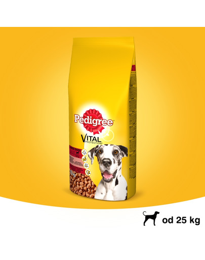 Adult 15 kg (duże rasy) - sucha karma dla psów z wołowiną