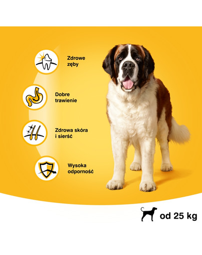 Adult 15 kg (duże rasy) - sucha karma dla psów z wołowiną