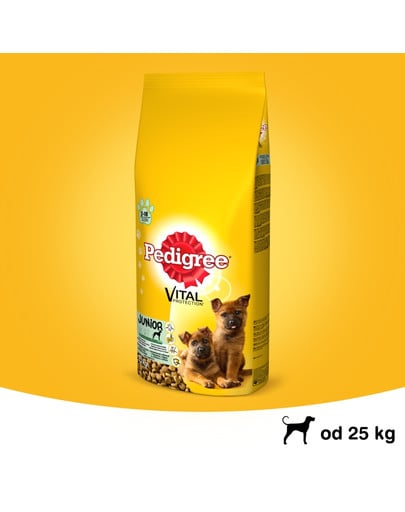 Junior 15kg (duże rasy) - sucha karma dla psów z kurczakiem i ryżem