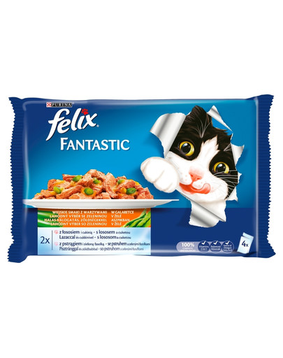 Fantastic uczta oceanu łosoś i pstrąg z warzywami w galaretce 40 x100g