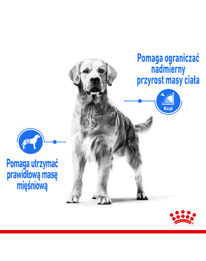 Maxi Light Weight Care karma sucha dla psów dorosłych, ras dużych z tendencją do nadwagi 10 kg