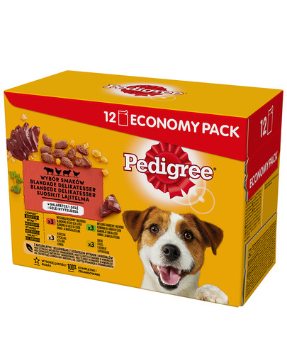 Adult jagnięcina drób wołowina 48 x100 g