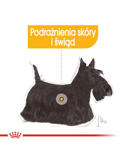Dermacomfort karma mokra - pasztet dla psów dorosłych o wrażliwej skórze, skłonnej do podrażnień 85 g