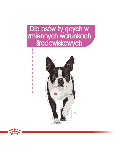 Relax Care karma mokra - pasztet dla psów dorosłych narażonych na działanie stresu 85 g