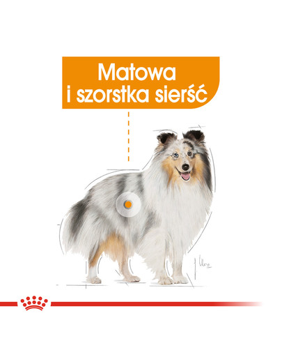 Coat Care karma mokra - pasztet dla psów dorosłych o matowej sierści 85 g