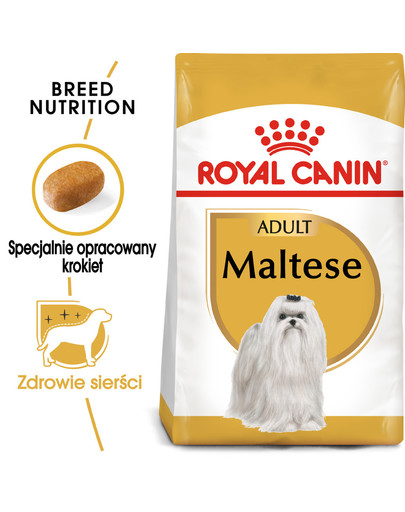 Maltese adult 1.5 kg karma sucha dla psów dorosłych rasy maltańczyk