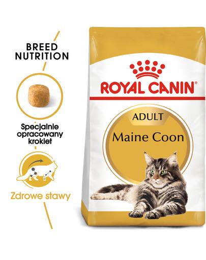 Maine Coon Adult karma sucha dla kotów dorosłych rasy maine coon 4 kg