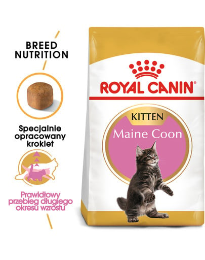 Maine Coon Kitten karma sucha dla kociąt, do 15 miesiąca, rasy maine coon 400 g