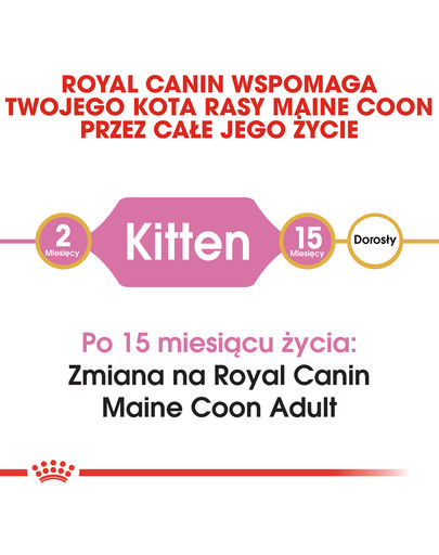Maine Coon Kitten karma sucha dla kociąt, do 15 miesiąca, rasy maine coon 10 kg