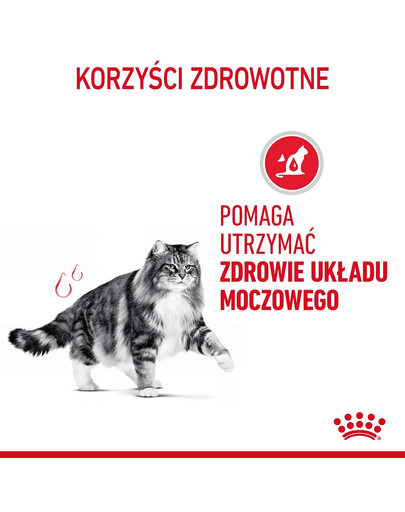 Urinary Care karma sucha dla kotów dorosłych, ochrona dolnych dróg moczowych 2 kg