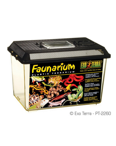 Faunarium 30x19,5x19,5 cm