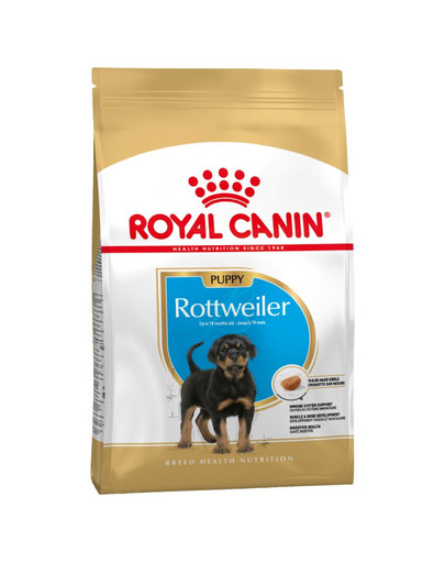 Rottweiler Puppy 12 kg