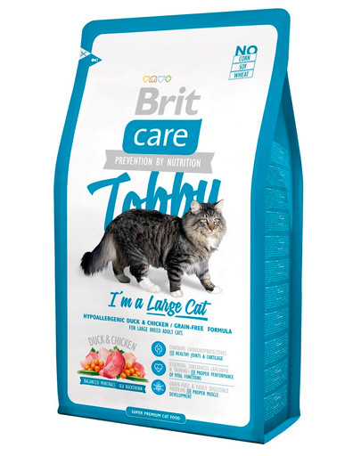 Care Toby I'm a large cat adult 2 kg