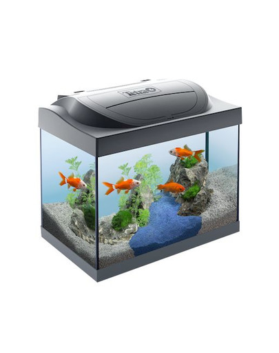 Starter Line LED 30 l Goldfish Zestaw Akwariowy dla Złotych Rybek