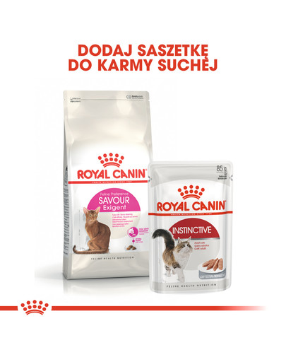 ROYAL CANIN Exigent savour sensation 10 kg+2 kg gratis! sucha karma dla dorosłych kotów szczególnie wybrednych