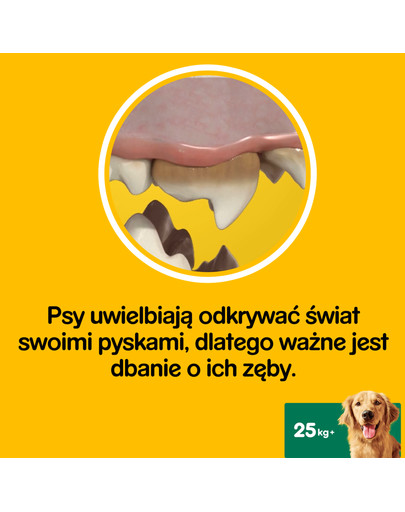 PEDIGREE DentaStix (duże rasy) przysmak dentystyczny dla psów 7 szt. - 270g