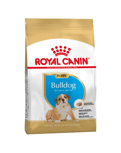 Bulldog Puppy 3 kg