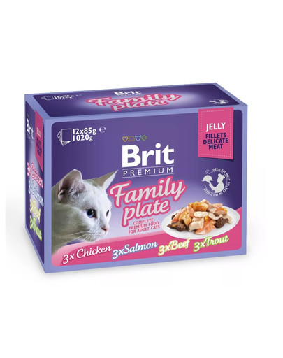 Premium Cat pouch jelly fillet Dinner plate Saszetki w galaretce dla kotów, mix smaków 1,2 kg (12x85 g)