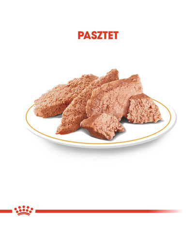 Poodle Adult in Sobe 85 g mokra karma w formie pasztetu dla dorosłych psów, rasy pudel