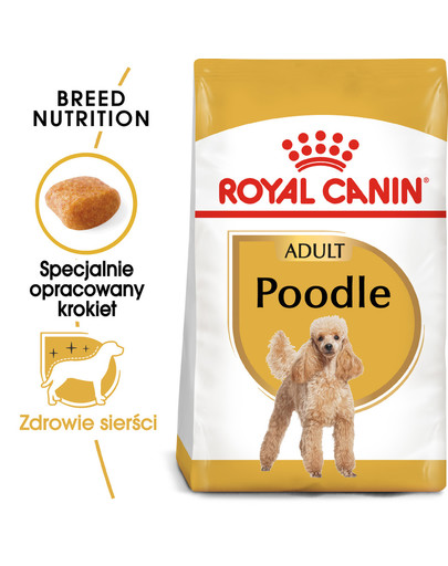 Poodle adult 3 kg karma sucha dla psów dorosłych rasy pudel miniaturowy