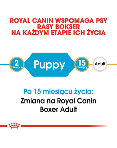 Boxer junior 3 kg sucha karma dla szczeniąt do 15 miesiąca, rasy boxer