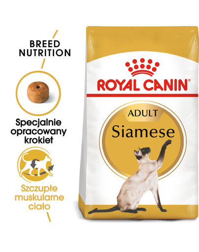 Siamese adult 4 kg karma sucha dla kotów dorosłych rasy syjamskiej
