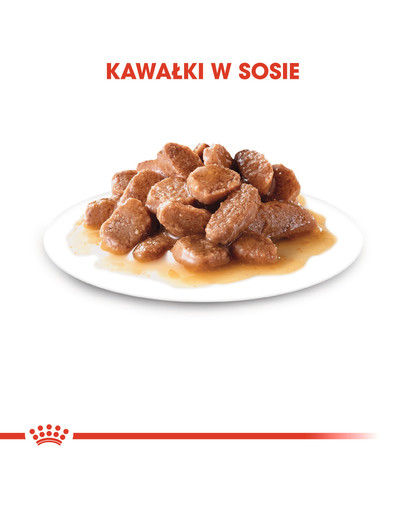 ROYAL CANIN Digest SENSITIVE w sosie 85 g x 12