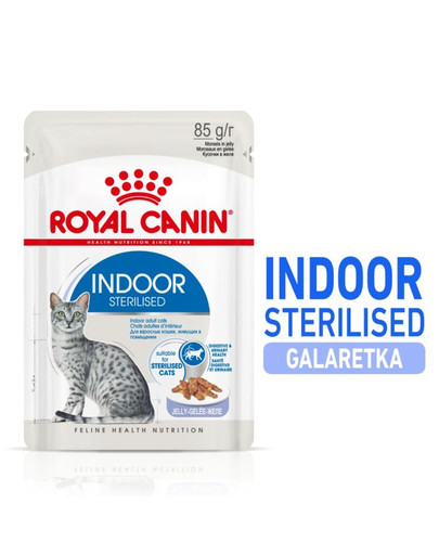 Indoor Sterilised w galarecie 12 x 85 g