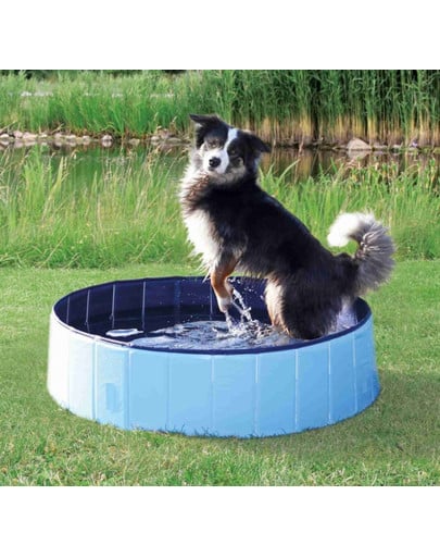 Basen dla psów, o 70 × 12 cm, jasnoniebieski/niebieski