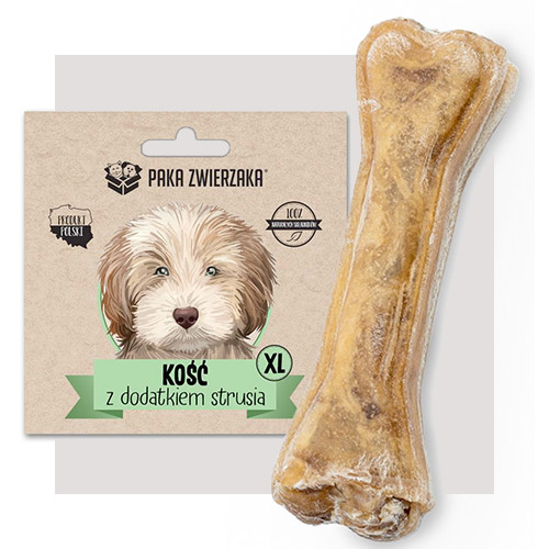 Kości dla psa