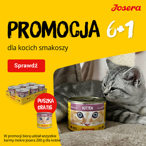 Promocja JOSERA karma mokra dla kota 200 g puszki 6+1