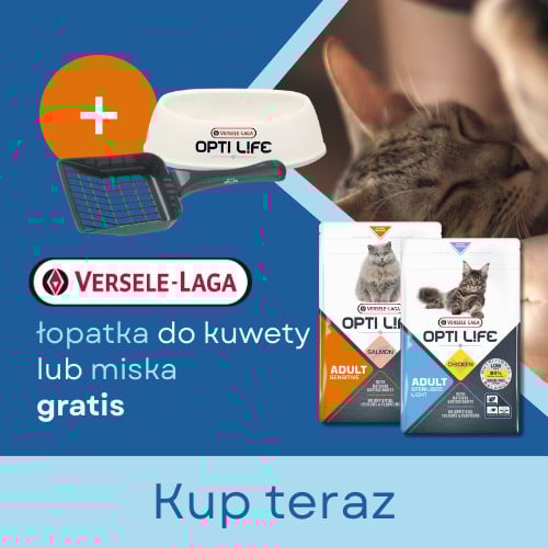 Promocja VERSELE LAGA miska dla kota GRATIS