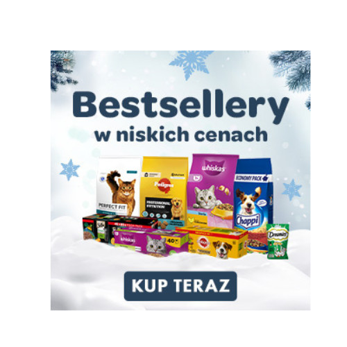 BESTSELLERY w niskich cenach