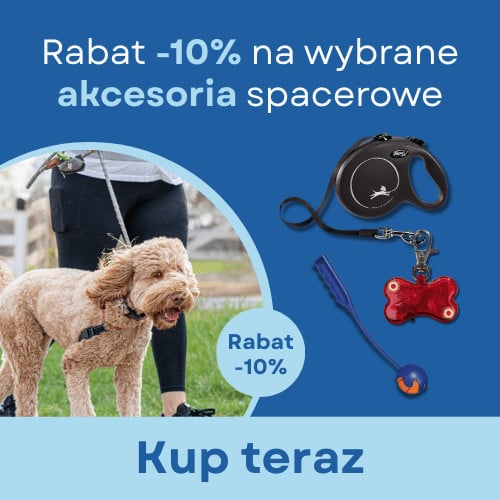 Promocja akcesoria spacerowe na wiosne -10%