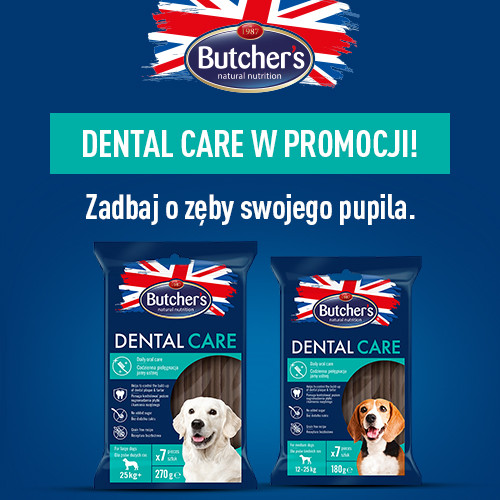 Promocja BUTCHER'S Dental Care z rabatem -15%